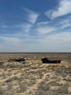 Aral sea