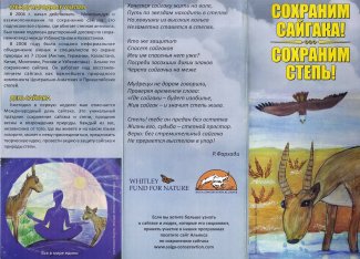leaflet