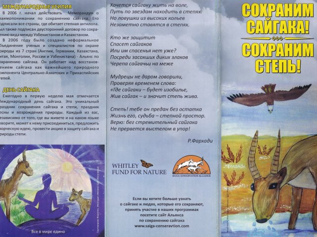 leaflet